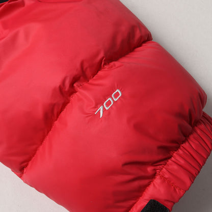 ×THE NORTH FACE 自由の女神 バルトロ ダウンジャケット(Statue of Liberty Baltoro Jacket)