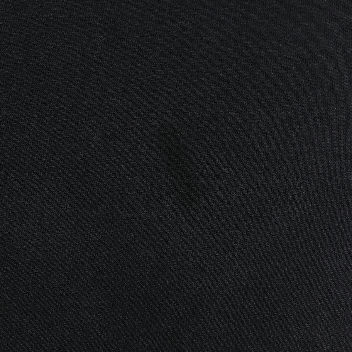 22AW スプレーグラフィック オーバーサイズ ロングスリーブTシャツ(Sprayed Palm Logo Over Tee)