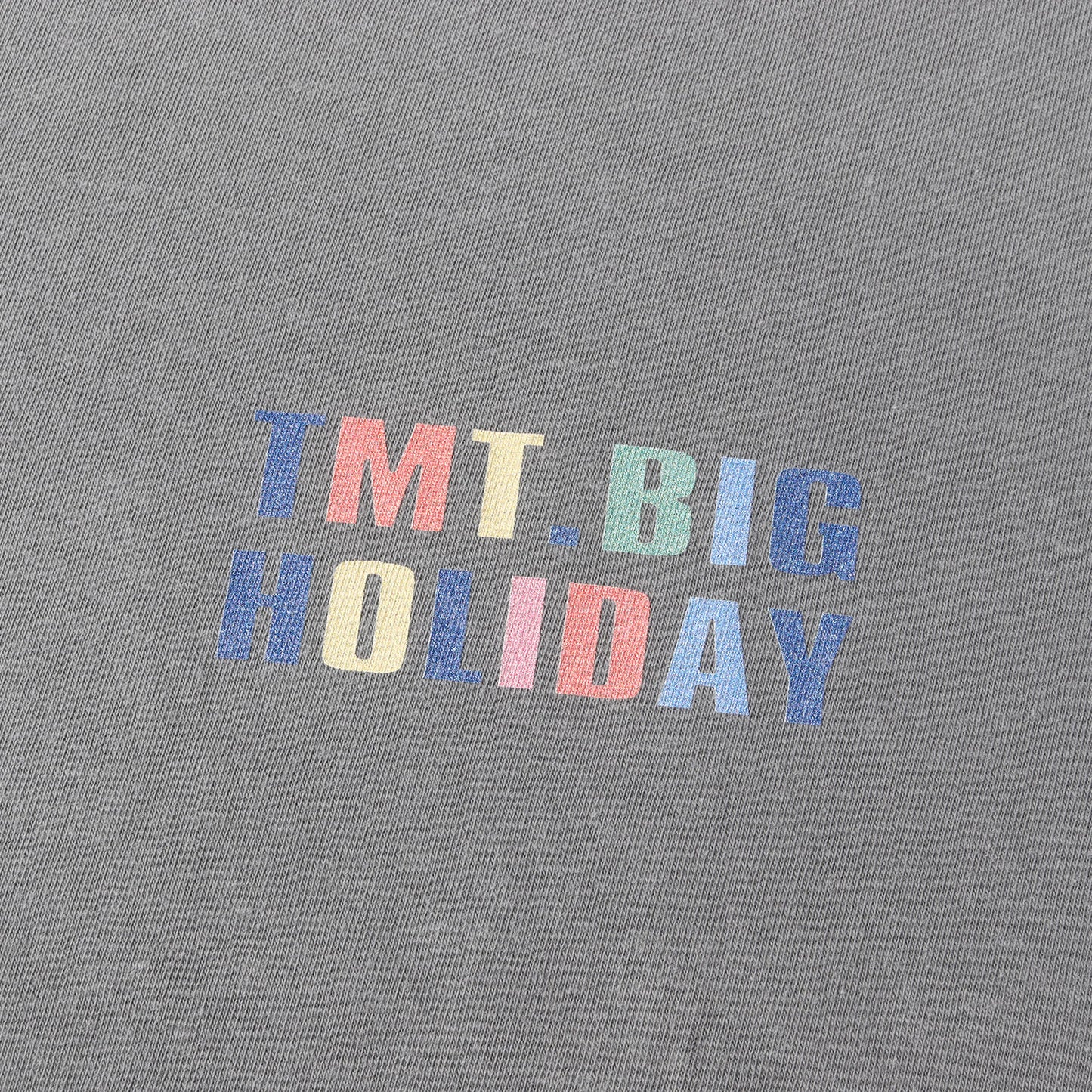 23SS ピグメントダイ加工 プリント Tシャツ(PIGMENT DYE S/SL TEE)