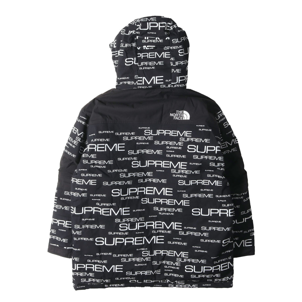 21AW ×THE NORTH FACE コールドワークス ダウンジャケット(Coldworks 700-Fill Down Parka)