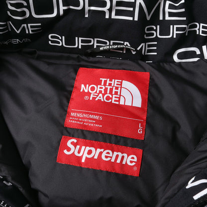 21AW ×THE NORTH FACE コールドワークス ダウンジャケット(Coldworks 700-Fill Down Parka)