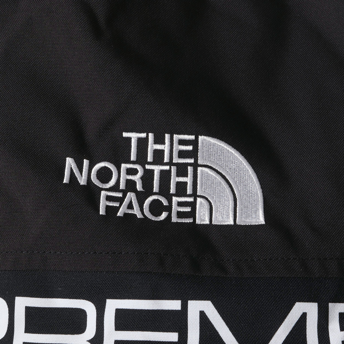 21AW ×THE NORTH FACE コールドワークス ダウンジャケット(Coldworks 700-Fill Down Parka)