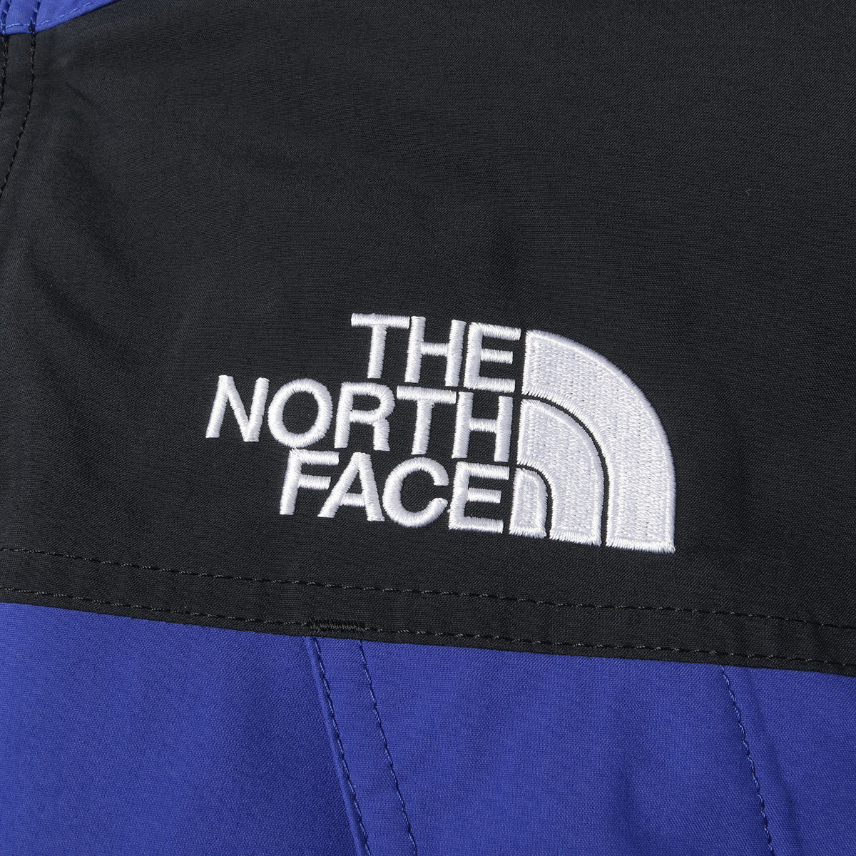 22AW GORE-TEX マウンテンダウン ジャケット(MOUNTAIN DOWN JACKET)