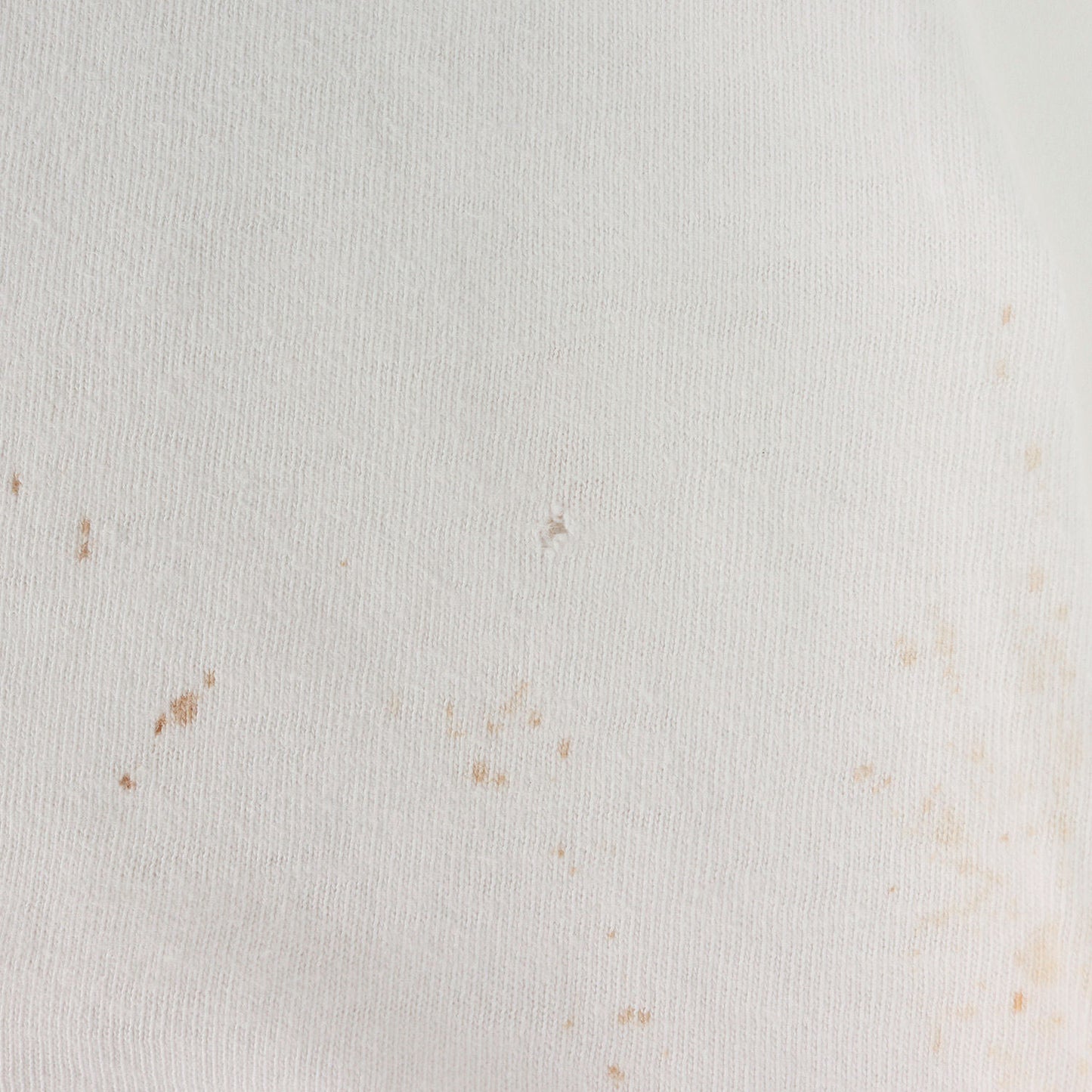 90s 初期 スケシン グラフィック Tシャツ(ONEITAボディ)