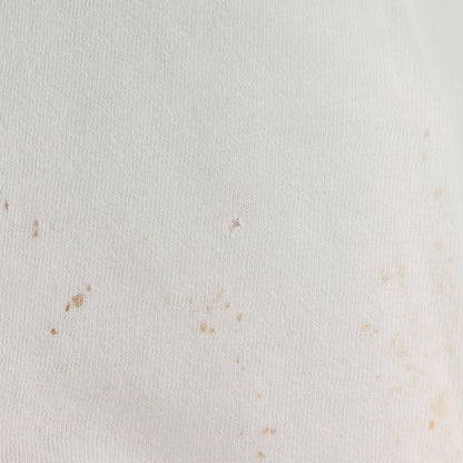 90s 初期 スケシン グラフィック Tシャツ(ONEITAボディ)