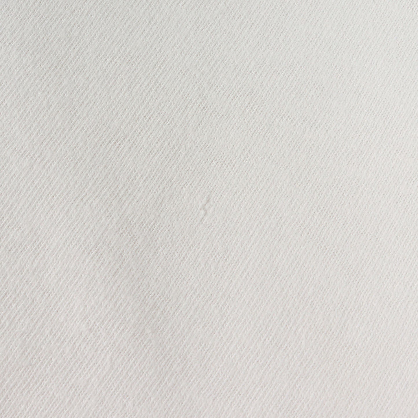 90s 初期 スケシン グラフィック Tシャツ(ONEITAボディ)