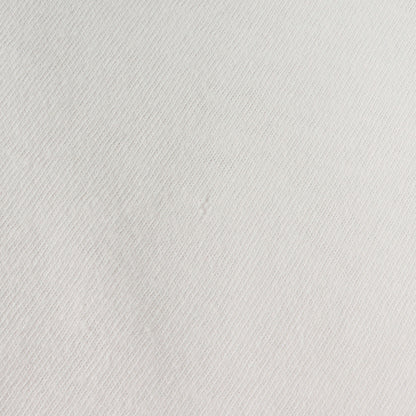 90s 初期 スケシン グラフィック Tシャツ(ONEITAボディ)