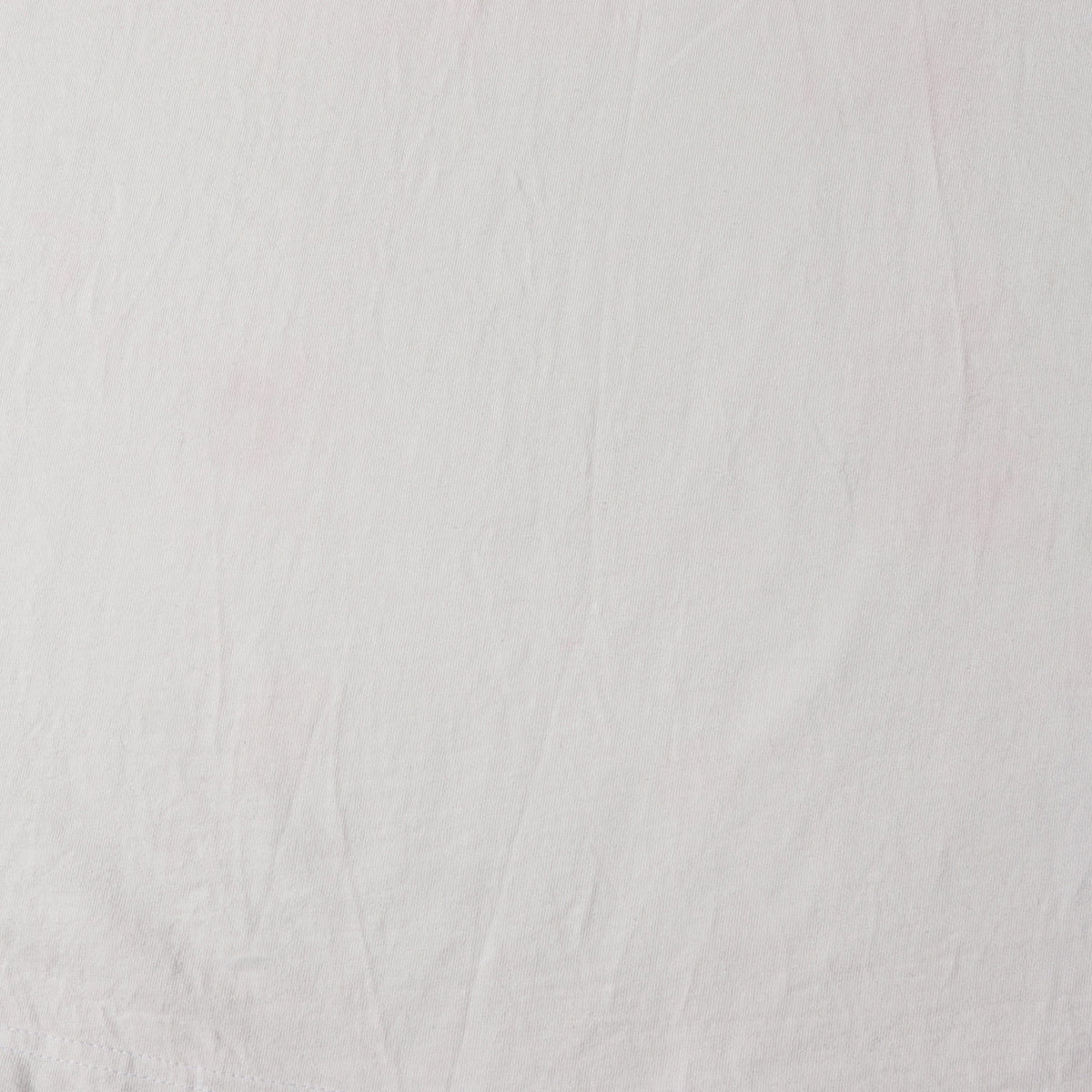 24AW オールドイングリッシュロゴ Tシャツ(Old English Tee)