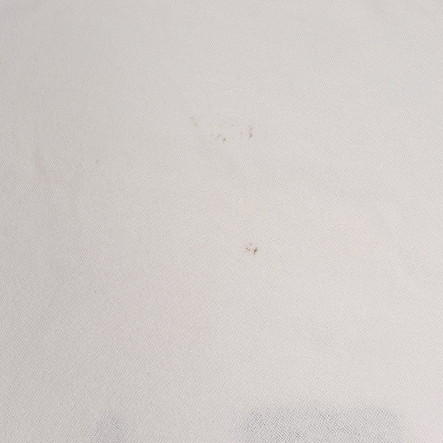 90s 初期 吹き出しタグ BEASTREIGN SUPREME Tシャツ(ONEITAボディ)