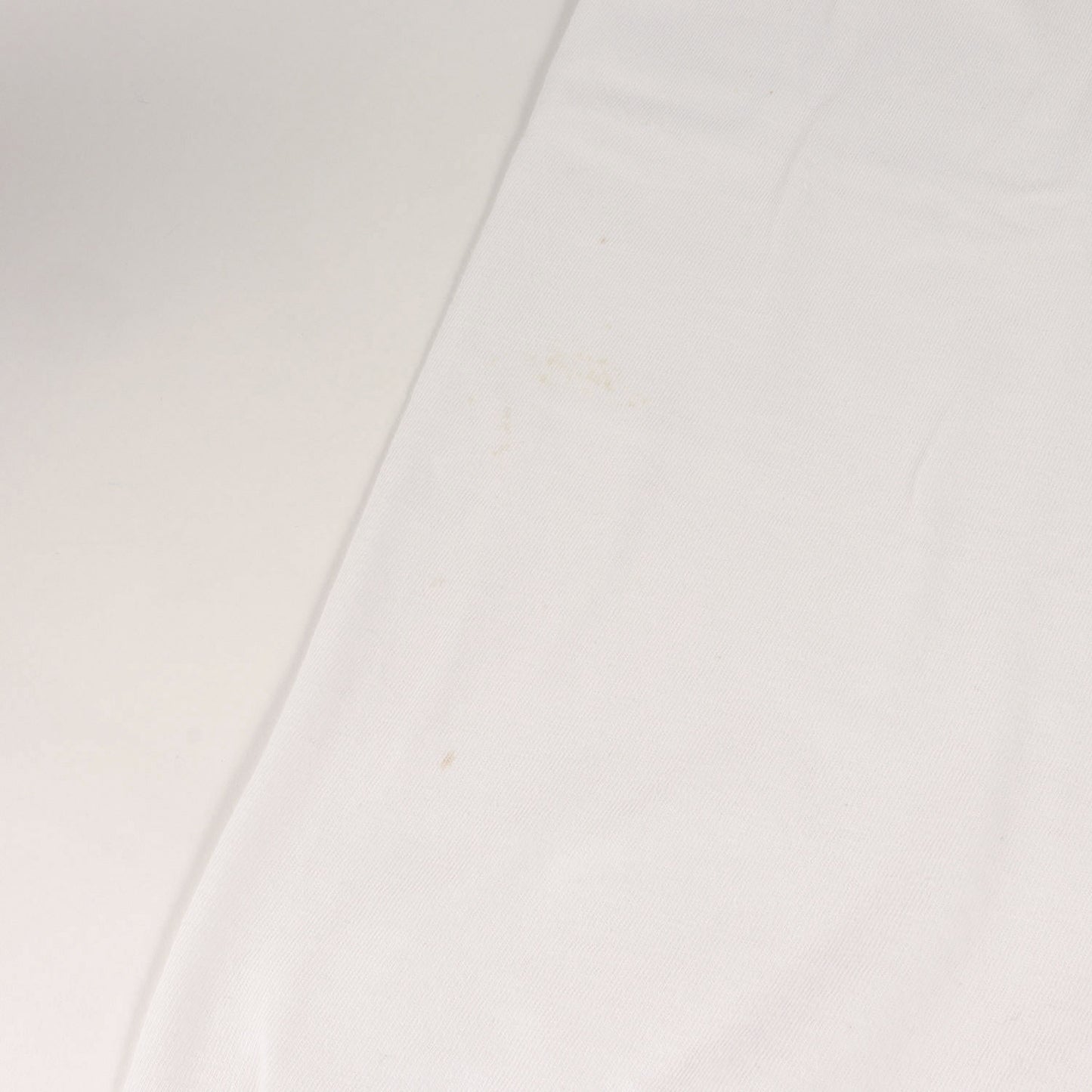 90s 初期 吹き出しタグ BEASTREIGN SUPREME Tシャツ(ONEITAボディ)