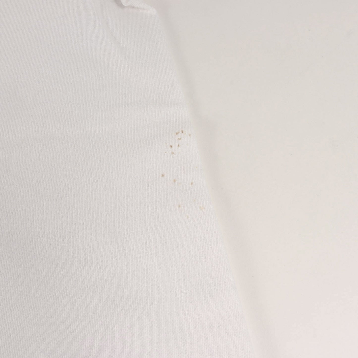 90s 初期 吹き出しタグ BEASTREIGN SUPREME Tシャツ(ONEITAボディ)