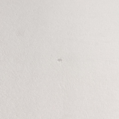 90s FPHLロゴ クルーネック Tシャツ