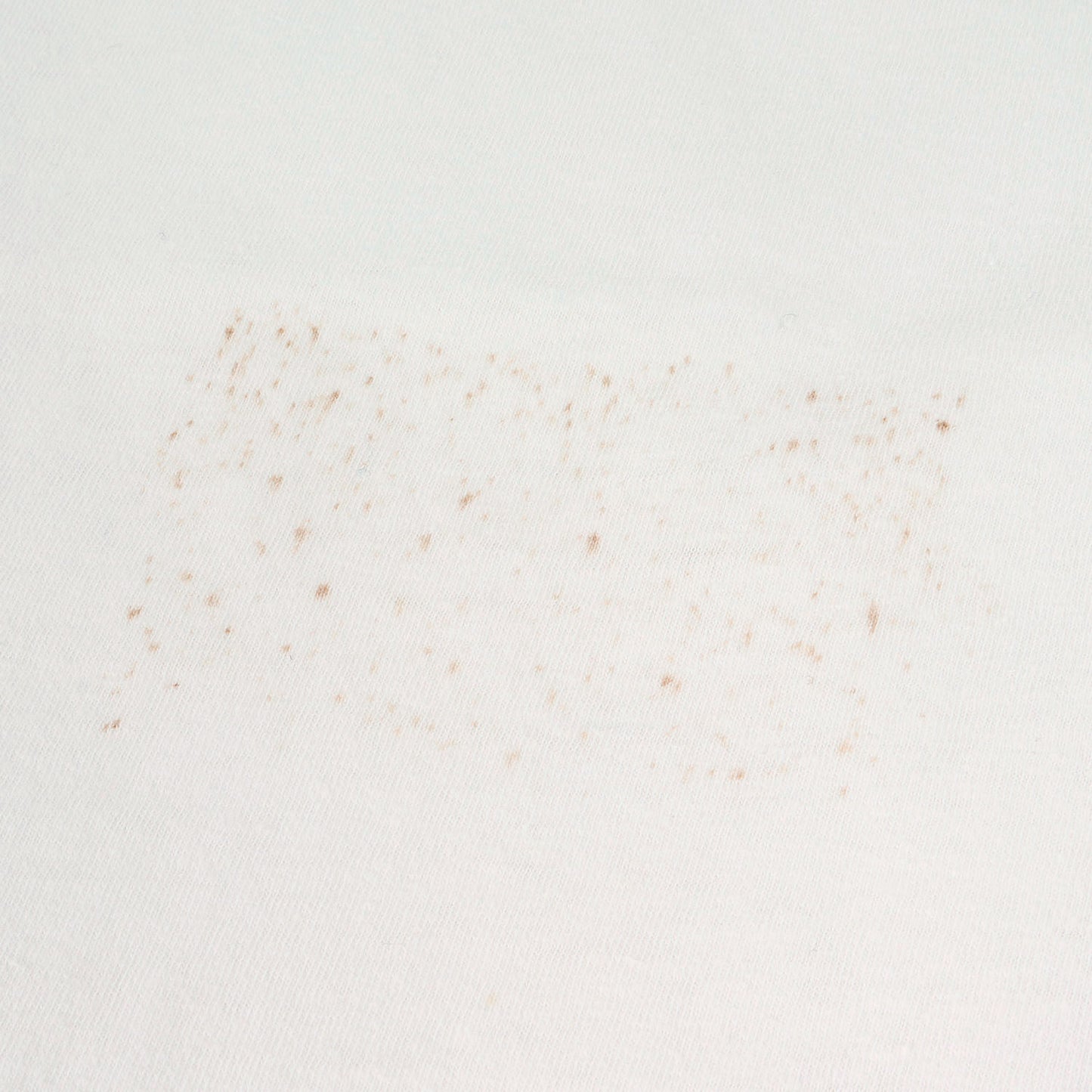 90s FPHLロゴ クルーネック Tシャツ