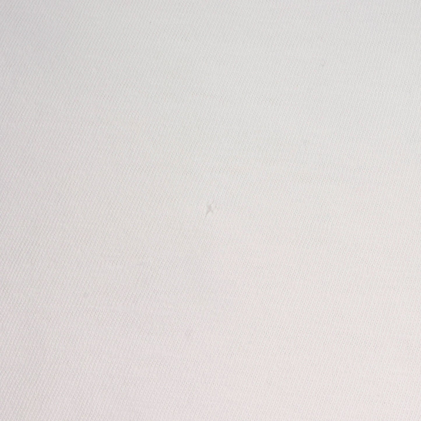 90s 初期 吹き出しタグ 猿の惑星 テイラー大佐 Tシャツ(ONEITAボディ)