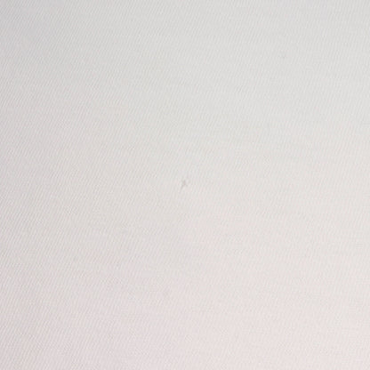 90s 初期 吹き出しタグ 猿の惑星 テイラー大佐 Tシャツ(ONEITAボディ)