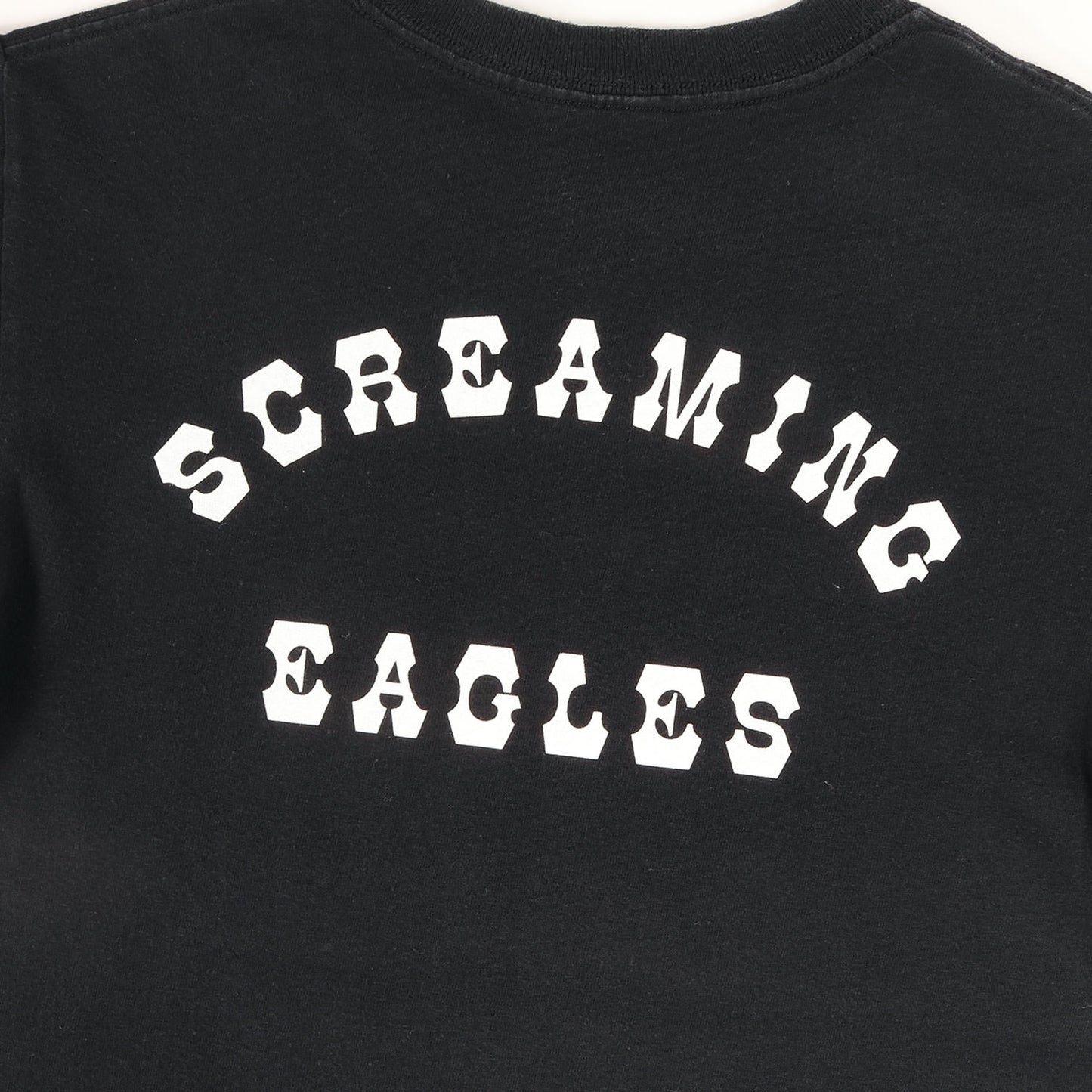 イーグルグラフィック Tシャツ