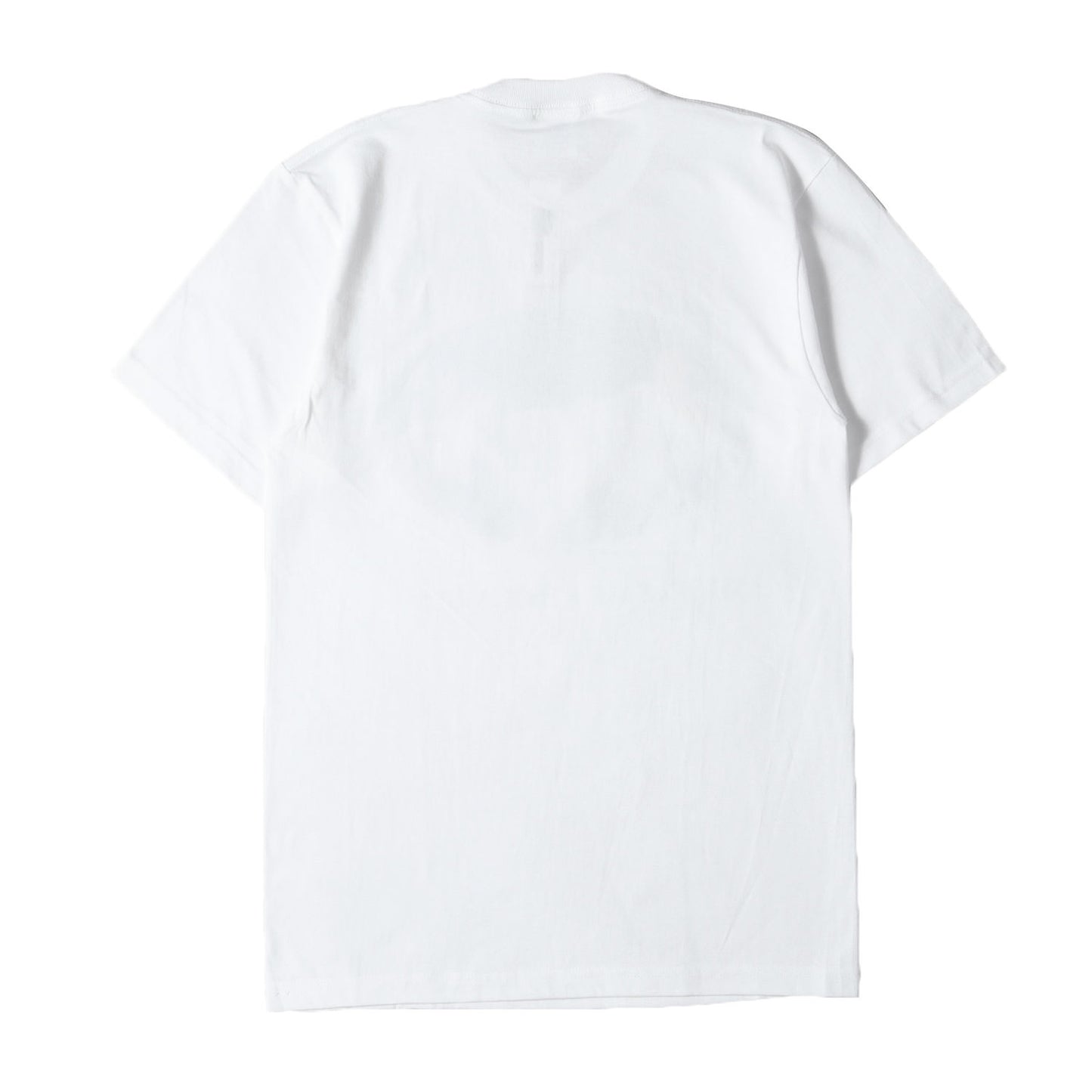 レダと白鳥 プリント Tシャツ(Leda And The Swan Tee)