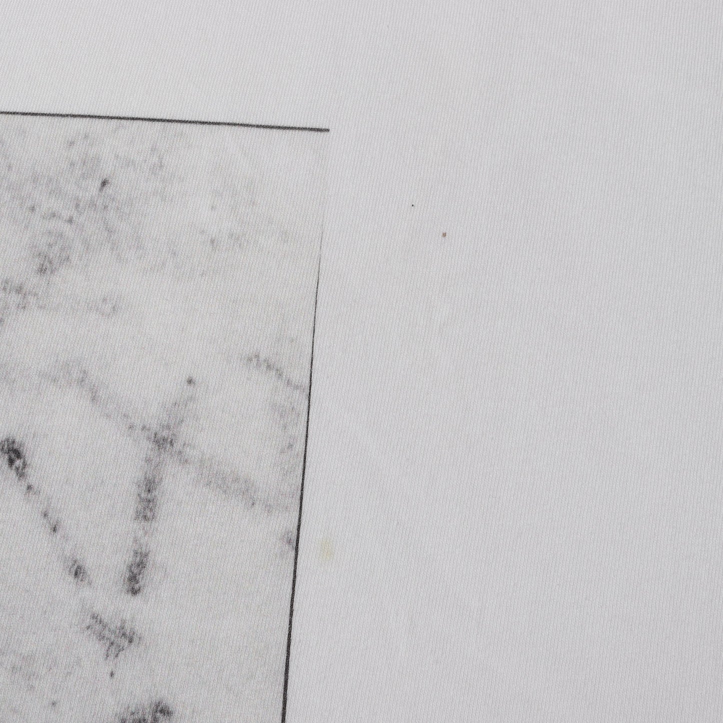 22SS ×VARRIO フォトプリント オーバーサイズ Tシャツ(Print Oversized S/S Tee)