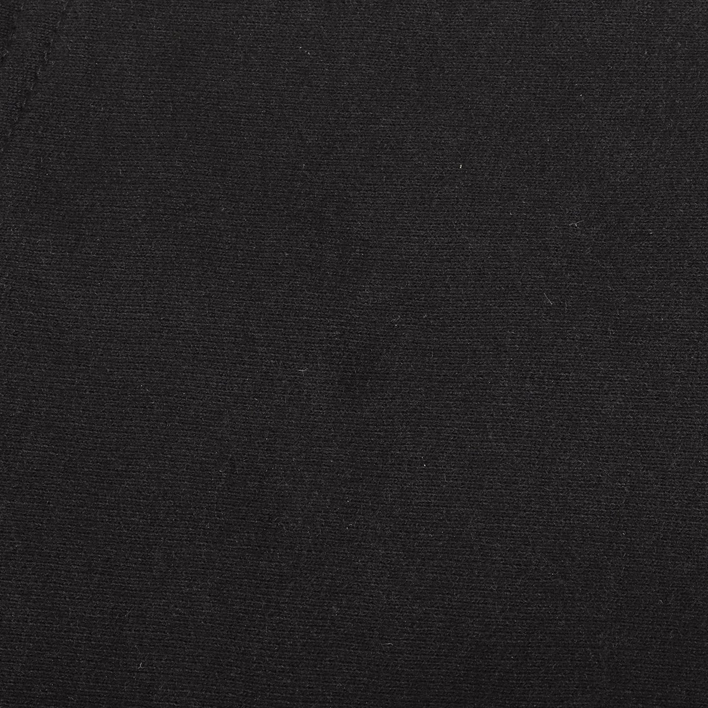 22AW ブランドロゴ スウェットパーカー(Capital Hooded Sweatshirt)