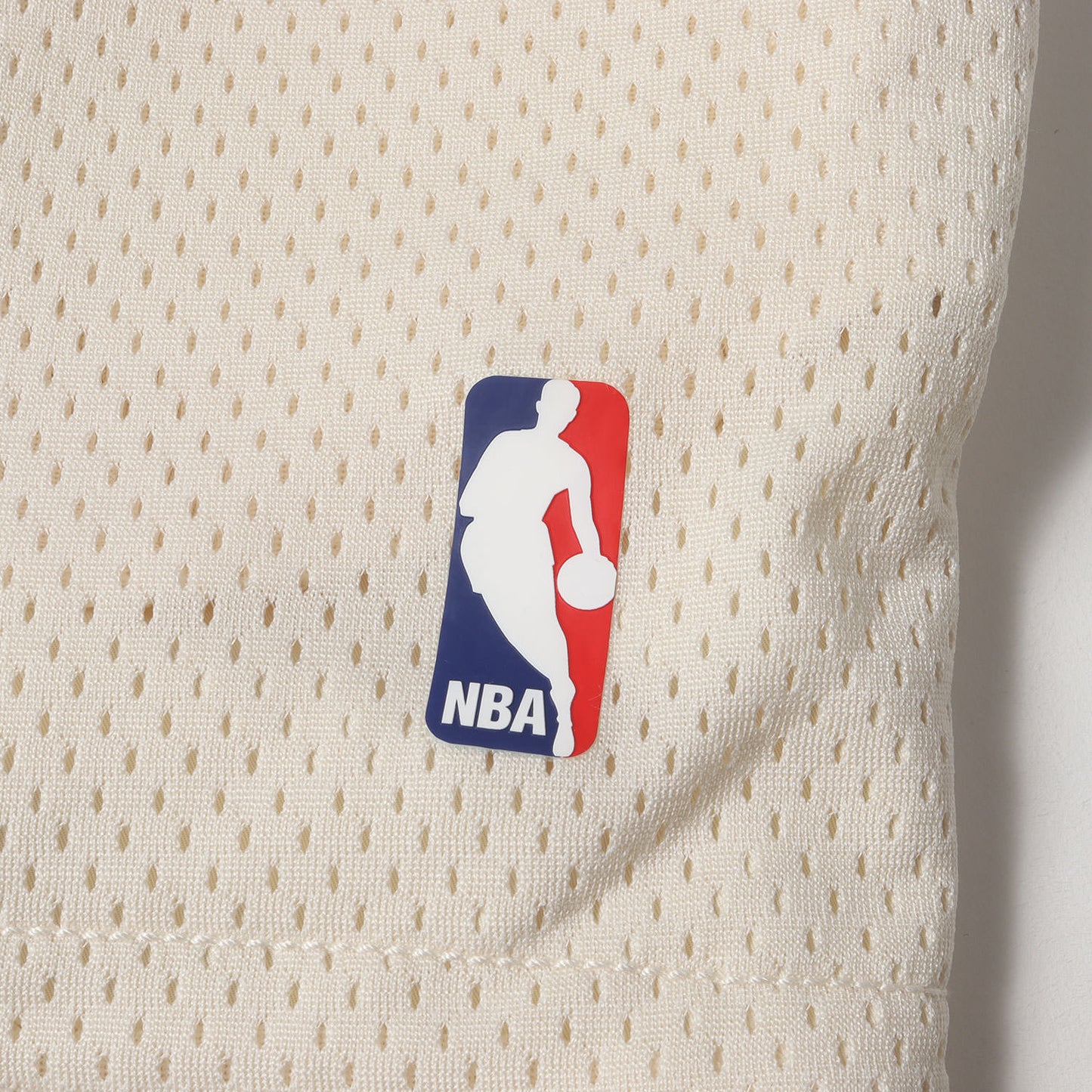 20AW ×NIKE NBA メッシュ バスケショーツ(NRG W BASKETBALLS SHORT)