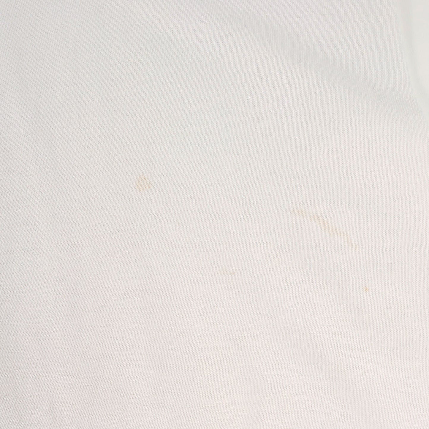 90s 初期 吹き出しタグ 猿の惑星 テイラー大佐 Tシャツ(ONEITAボディ)