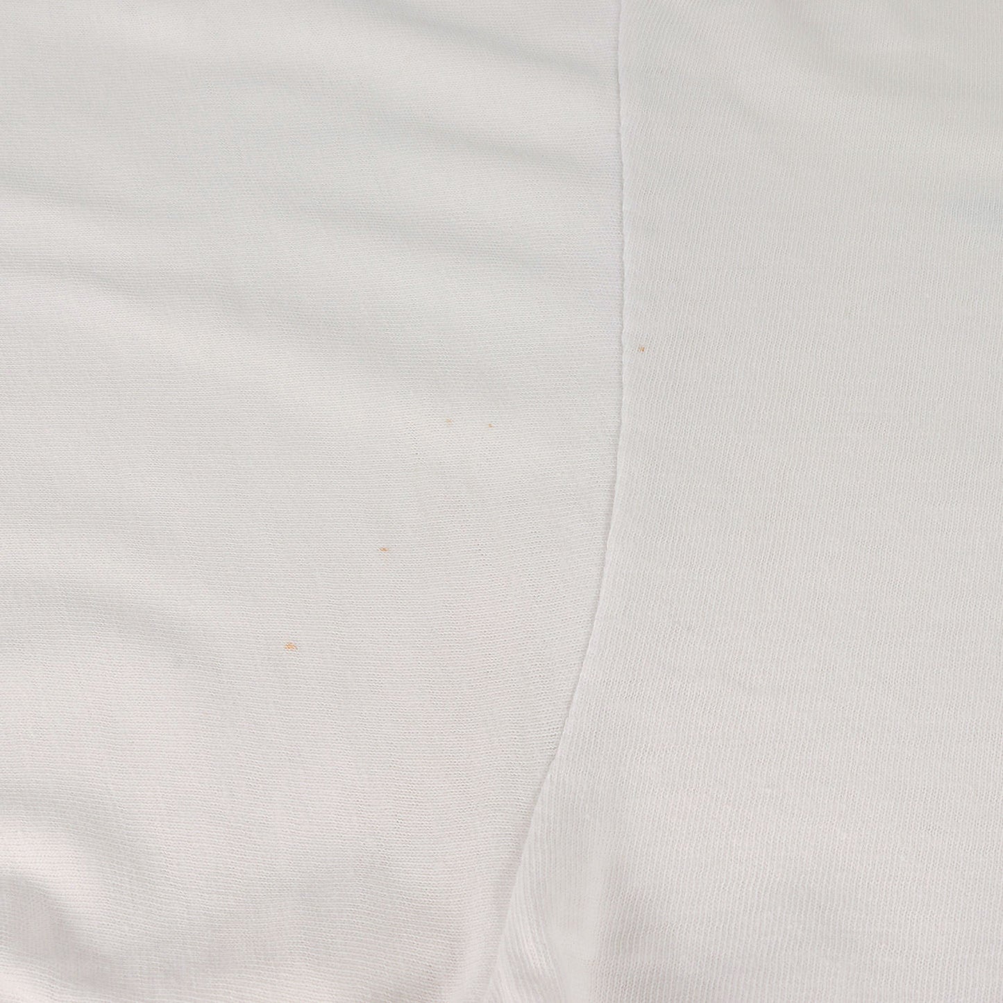 90s 初期 吹き出しタグ 猿の惑星 テイラー大佐 Tシャツ(ONEITAボディ)