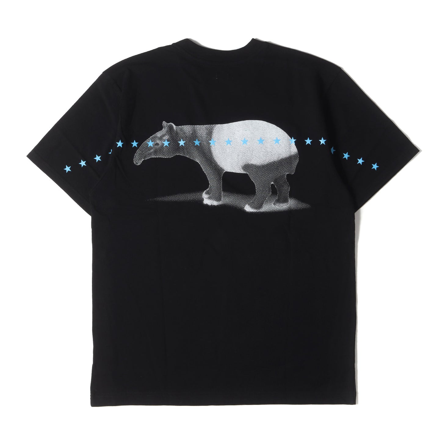 21SS バク フォト Tシャツ(T-SHIRT)