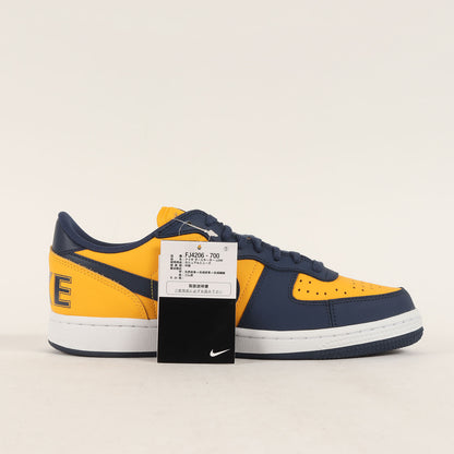 TERMINATOR LOW OG MICHIGAN / ミシガン大学カラー (FJ4206-700)