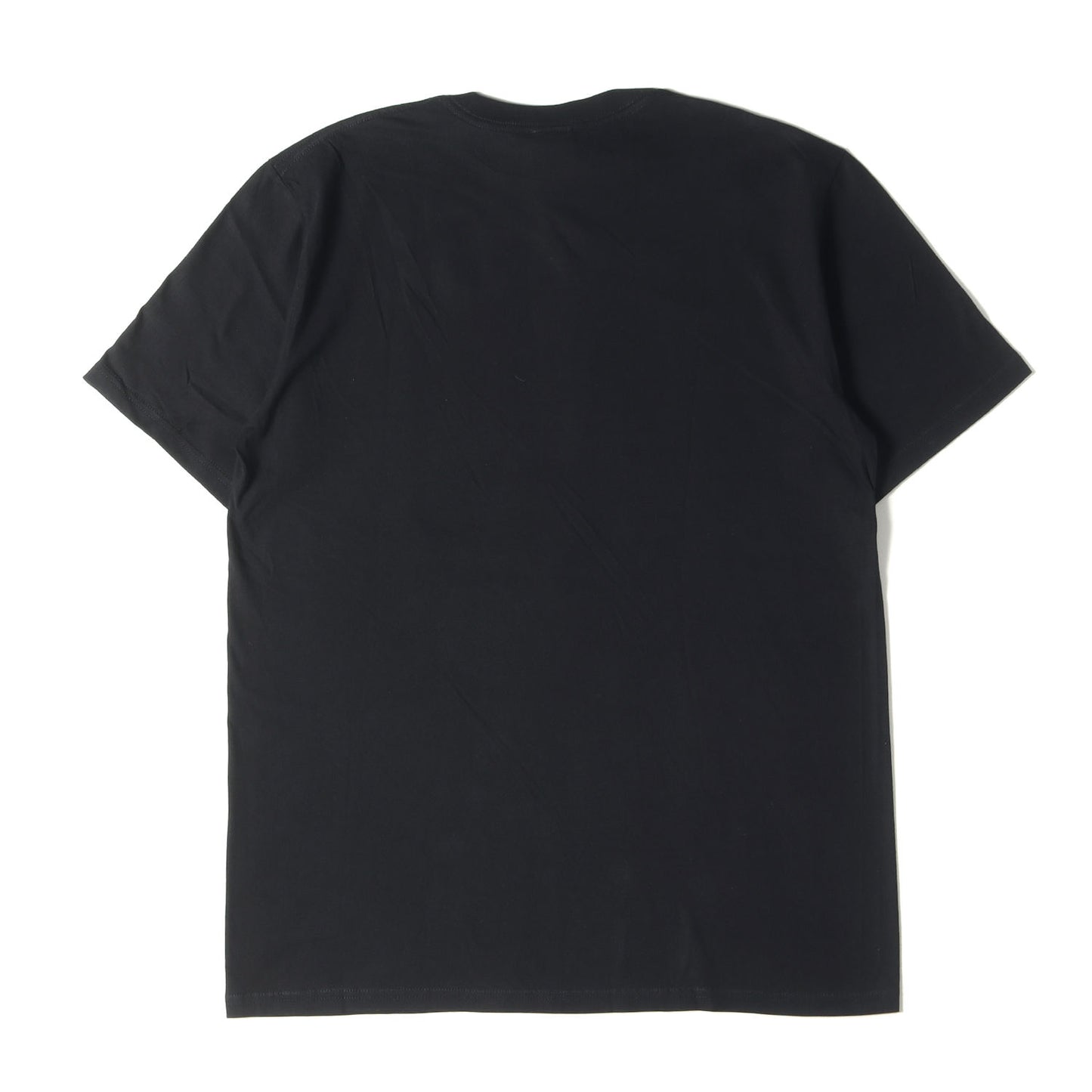 ×THE NORTH FACE フォトプリント Tシャツ(Expedition S/S Tee)