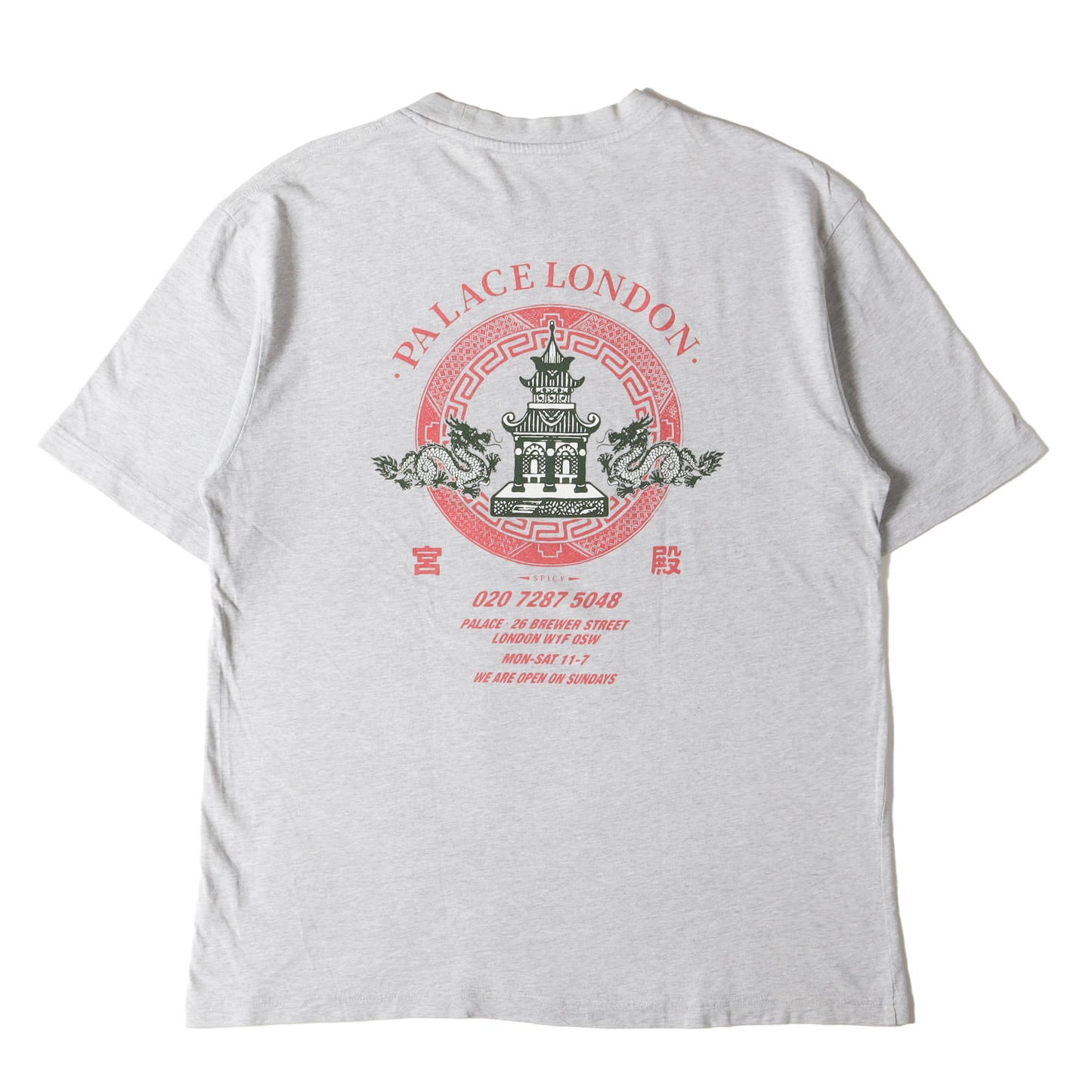 23SS ドラゴン グラフィック Tシャツ(Fortunate T-Shirt)