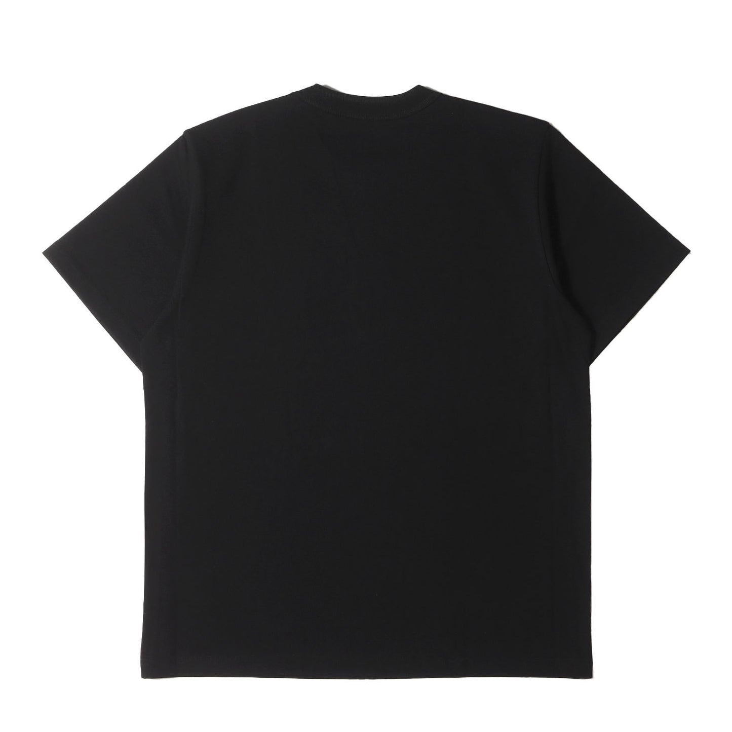 24AW ×Sacai フロッキープリント ヘビー Tシャツ(Flock Print T-Shirt / SS / COTTON. SACAI)