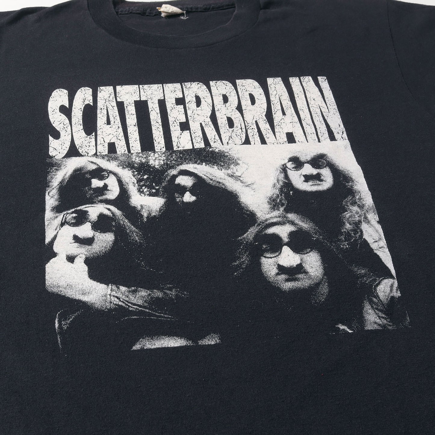 90s SCATTERBRAIN DON'T CALL ME DUDE Tシャツ(SCREEN STARSボディ / USA製)