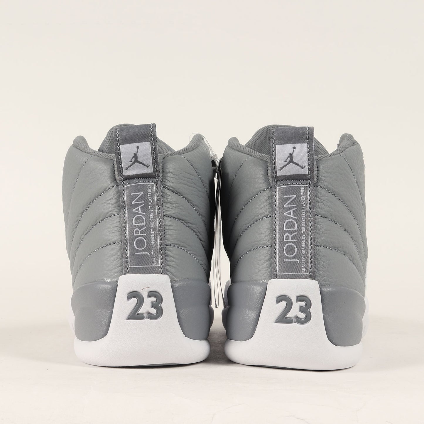 AIR JORDAN 12 RETRO STEALTH (CT8013-015)