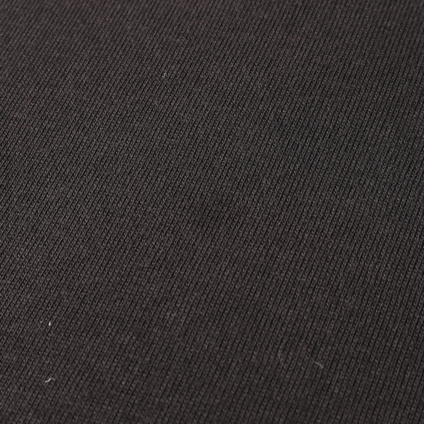 24AW ×PORTER コラボロゴ Tシャツ(Logo T-Shirt)