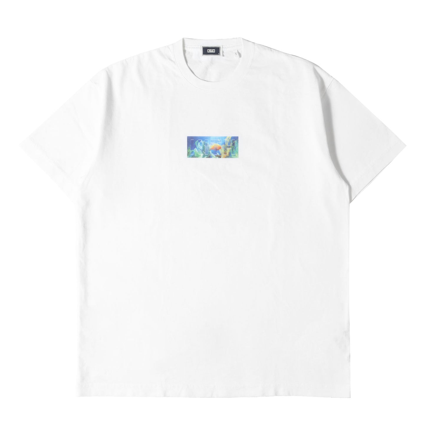 21SS 熱帯魚 BOXロゴ Tシャツ(Fish Tank Classic Logo Tee)