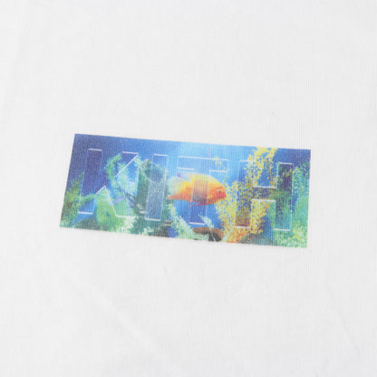 21SS 熱帯魚 BOXロゴ Tシャツ(Fish Tank Classic Logo Tee)