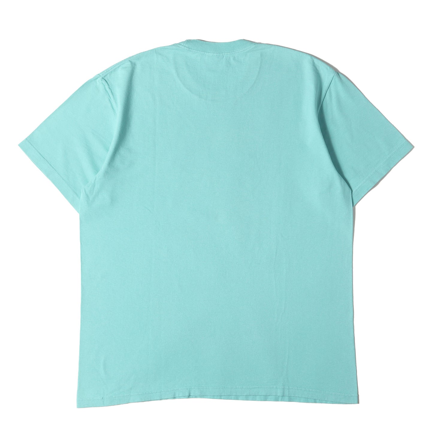 22SS アル・グリーン フォト Tシャツ(Al Green Tee)