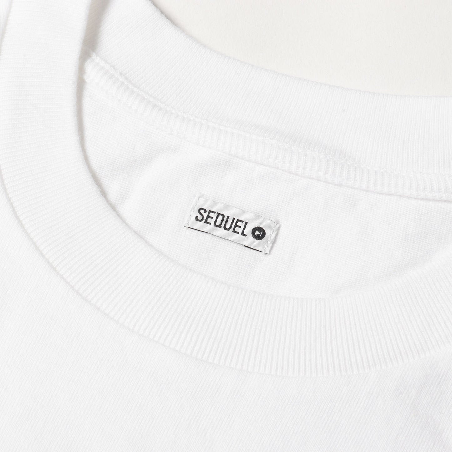 21SS スターロゴ クルーネック Tシャツ(Dugong TEE)