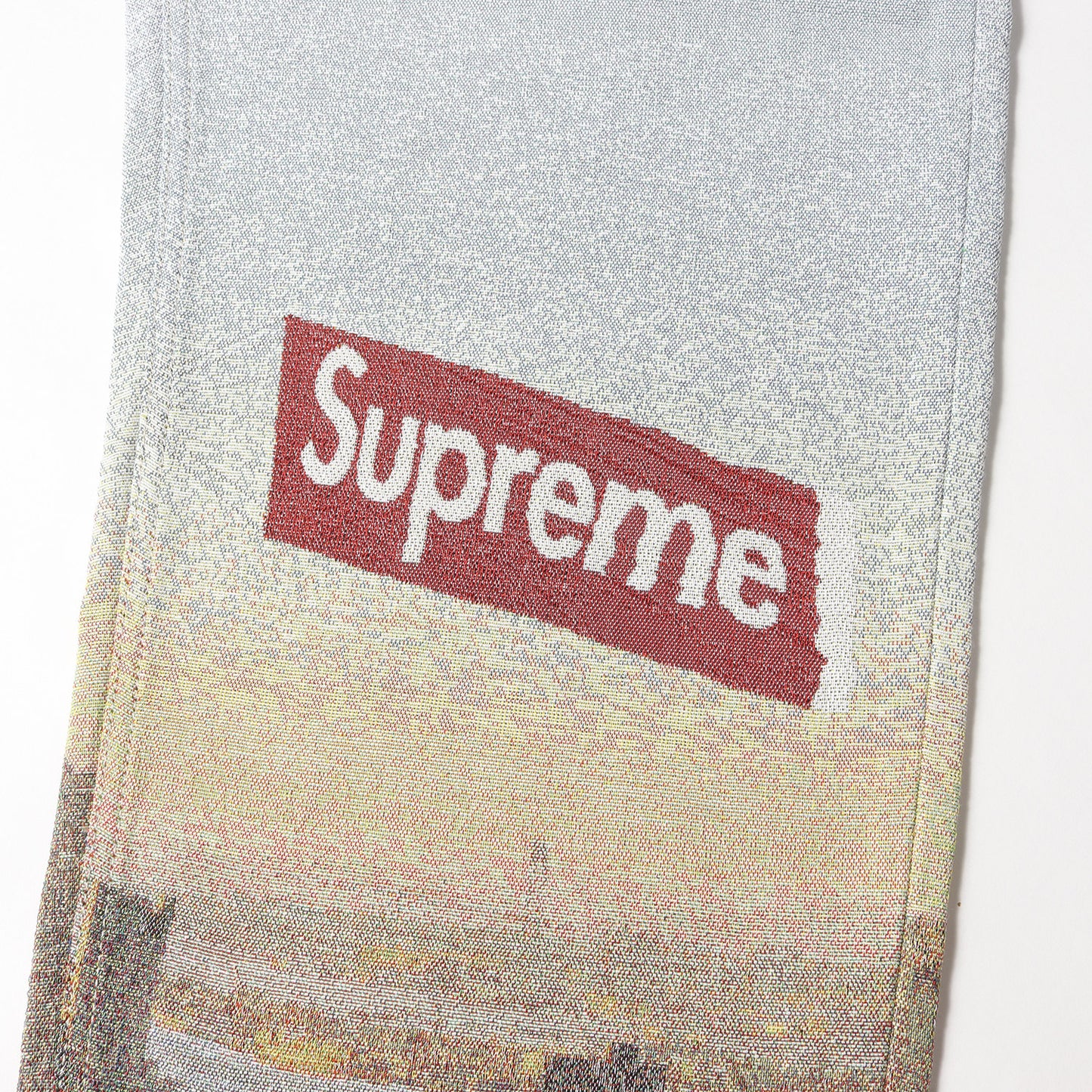 20AW マンハッタン柄 デニムパンツ(Aerial Tapestry Regular Jean)