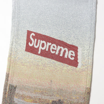 20AW マンハッタン柄 デニムパンツ(Aerial Tapestry Regular Jean)
