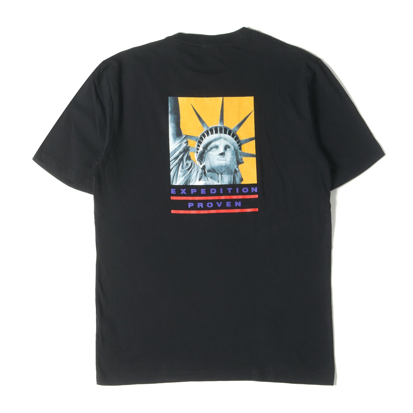 ×THE NORTH FACE 自由の女神 Tシャツ(Statue of Liberty Tee)