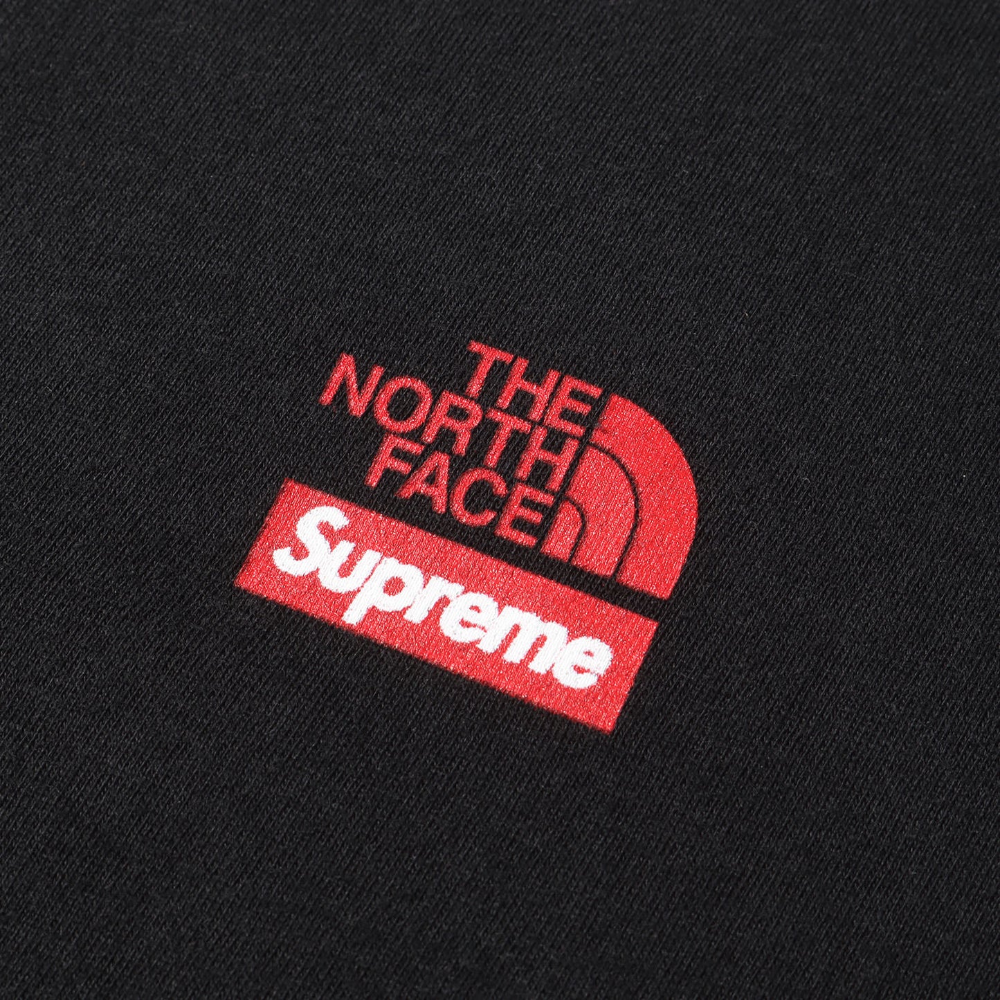 ×THE NORTH FACE 自由の女神 Tシャツ(Statue of Liberty Tee)