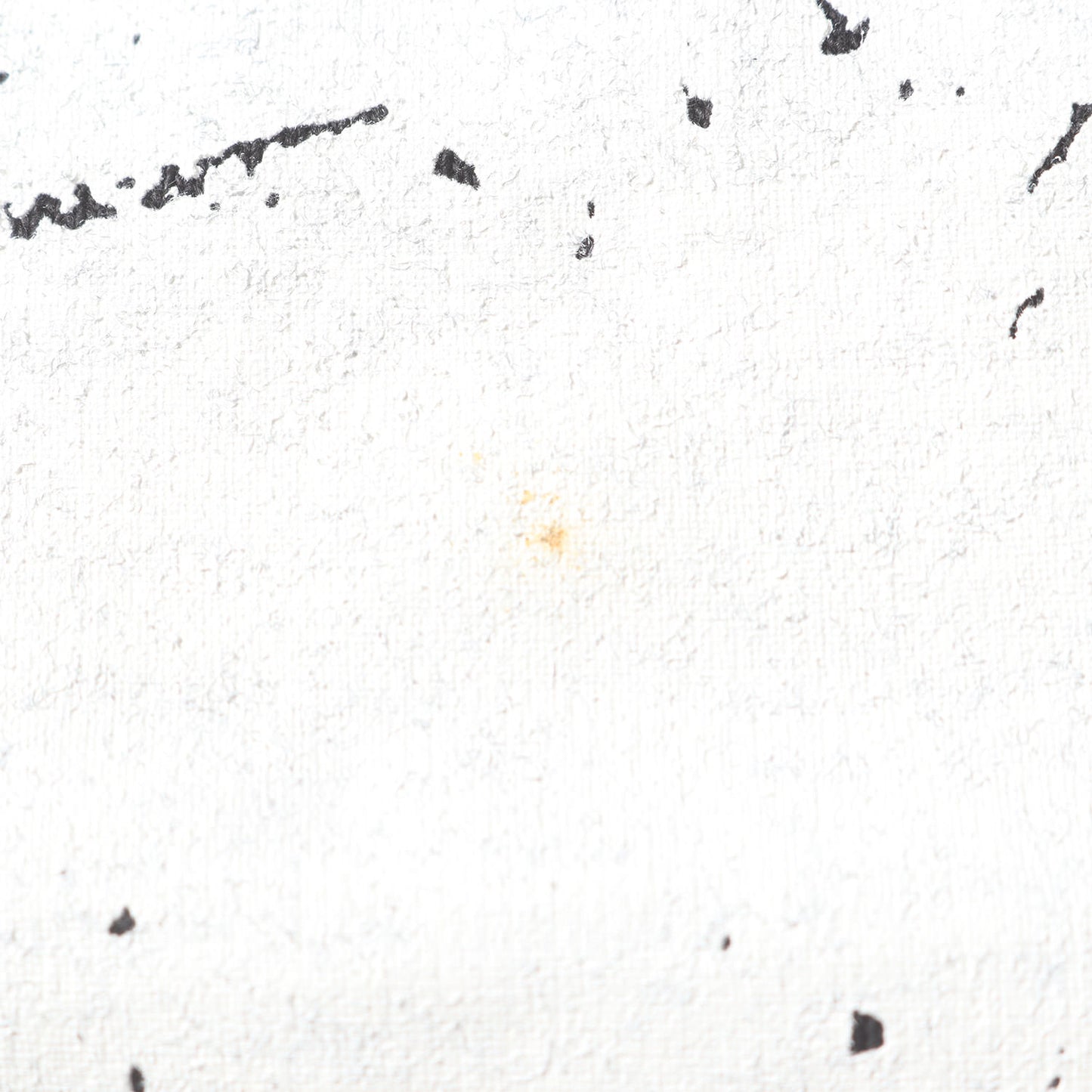 00s SOBUT PUNK THIS TOWN Tシャツ(anvilボディ / デッドストック)