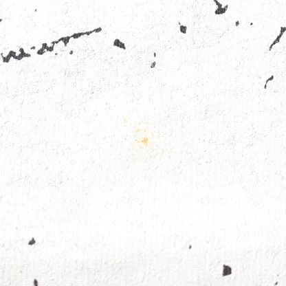 00s SOBUT PUNK THIS TOWN Tシャツ(anvilボディ / デッドストック)