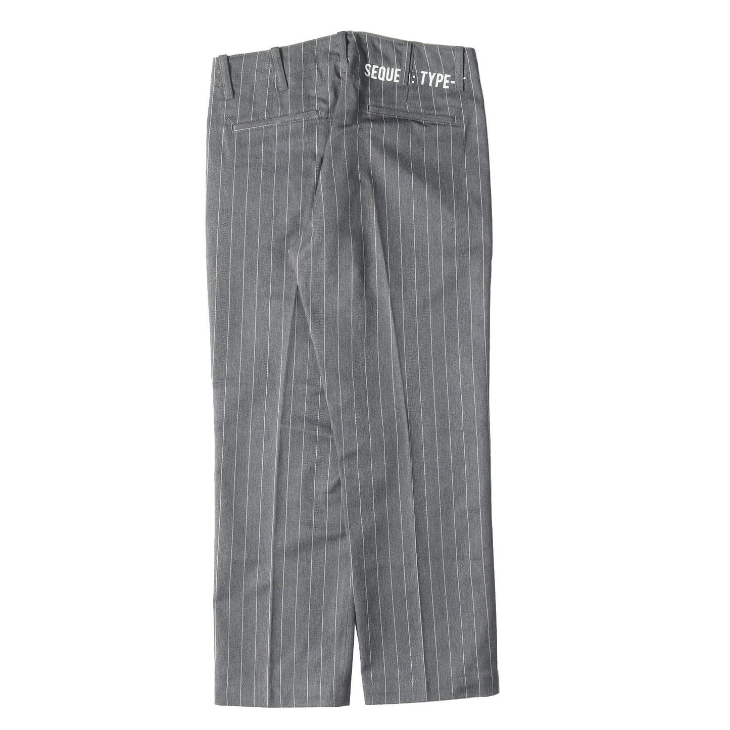 23SS ピンストライプ ワーク チノパンツ(CHINO PANTS TYPE-F)