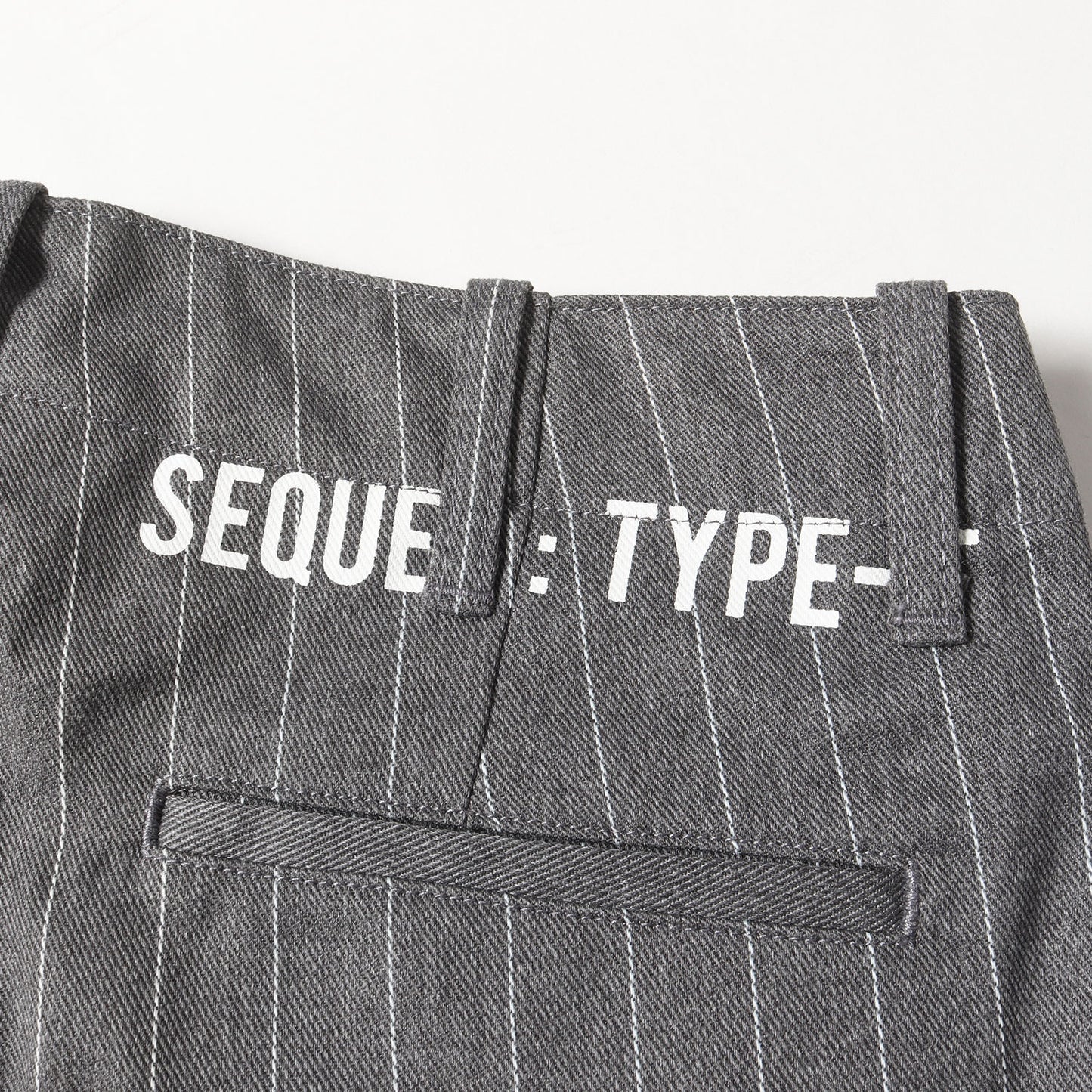 23SS ピンストライプ ワーク チノパンツ(CHINO PANTS TYPE-F)
