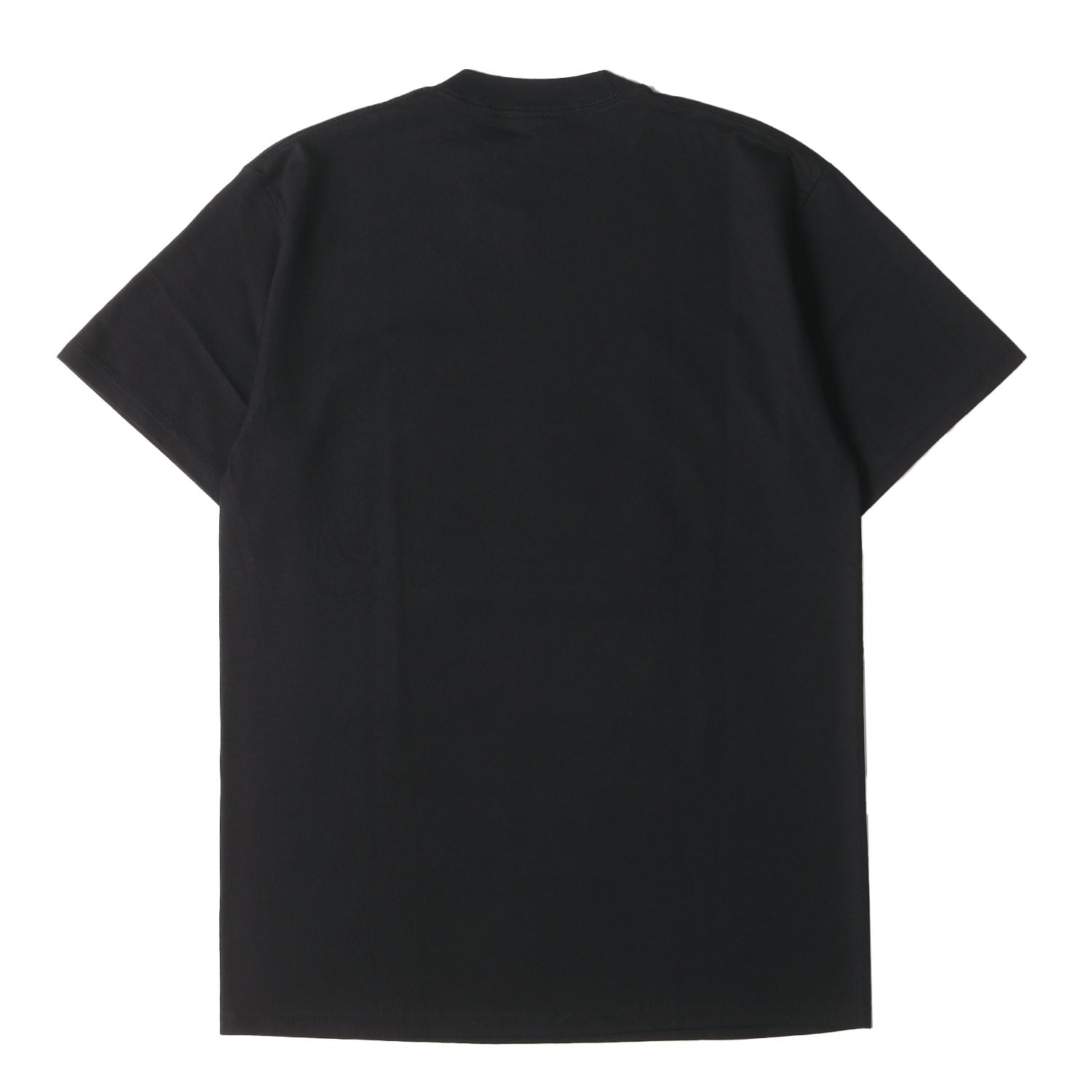 STUSSY (ステューシー) 00s ローラ フォト クルーネック Tシャツ (S/S