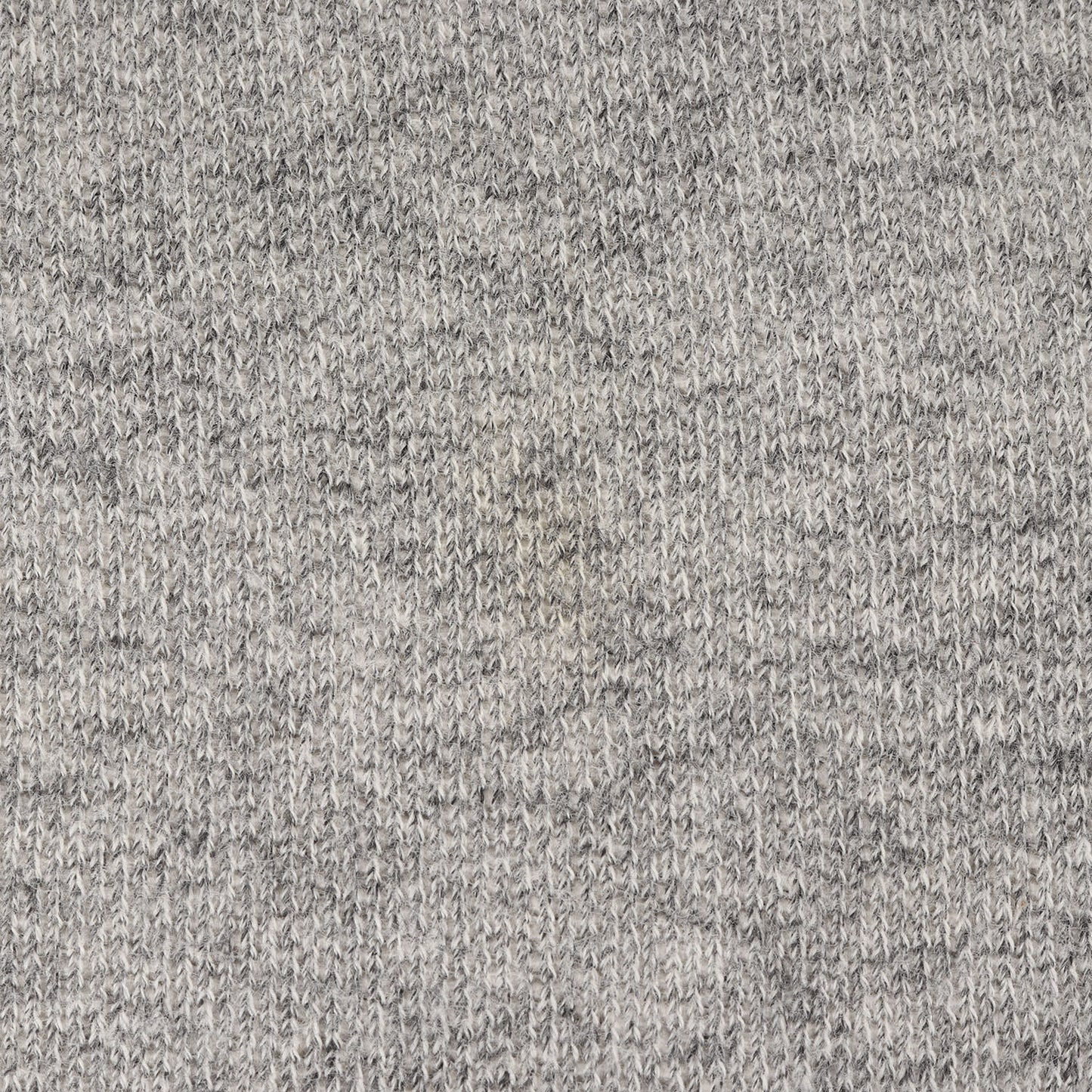 クラシックロゴ ラメプリント スウェットパーカー