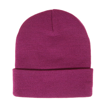 ゴンズロゴ ニット ビーニー(Gonz Ramm Beanie)