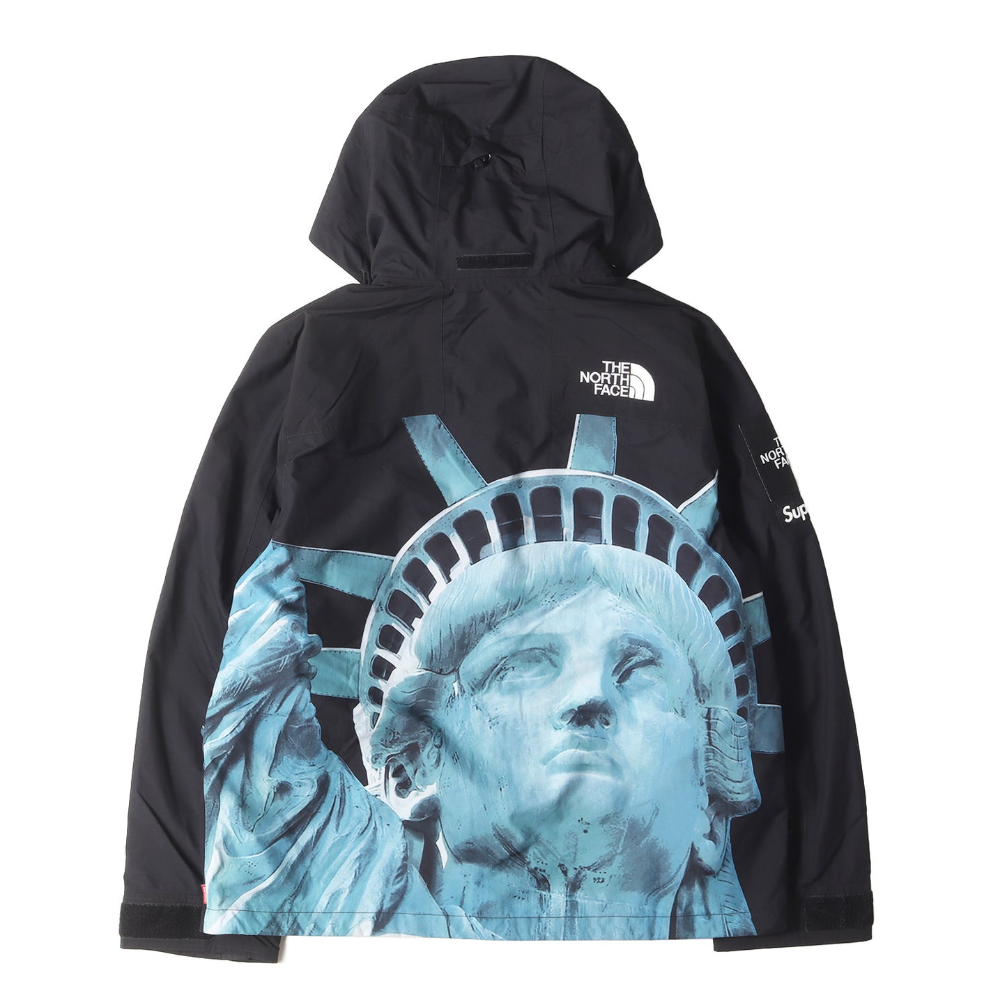 ×THE NORTH FACE 自由の女神 マウンテンジャケット(Mountain Jacket)